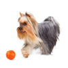 Collar Игрушка для собак Liker 5 Мячик для щенков и собак мелких пород (6298) - зображення 3