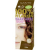 Sante Био-краска-порошок для волос  растительная Лесной орех/Nut Brown 100 г (4025089041832) - зображення 1