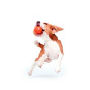Collar Игрушка для собак Liker 7 Мячик для собак мелких и средних пород (6294) - зображення 4