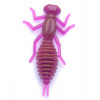 Perch'ik Beetle 1.5" / 12 - зображення 1