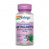 Solaray Saw Palmetto 160 mg, 60 капсул - зображення 1