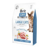 Brit Care Large cats Power & Vitality 2 кг (171310/0914) - зображення 1