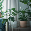 IKEA MUSKOTBLOMMA Квітковий горщик з підставкою, кімнатний/махровий, вуличний, 15 см (304.548.91) - зображення 3