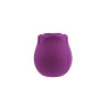 Chisa Novelties Rosy-Purple (CH30411) - зображення 1