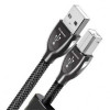 AudioQuest Diamond USB 0.75m (A-B) - зображення 1