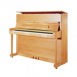 Petrof Акустическое фортепиано P118P1-8107