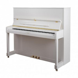 Petrof Акустическое фортепиано P125M1-0001