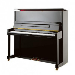 Petrof Акустическое фортепиано P131M1-0801