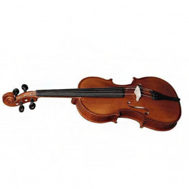 Скрипки, віолончелі, контрабаси Strunal