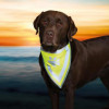 Trixie Бандана для собак Safety Light светоотражающая (30121) - зображення 1