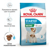 Royal Canin Mini Starter 8 кг (2990080) - зображення 3