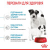 Royal Canin Mini Starter 8 кг (2990080) - зображення 5