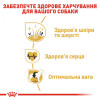 Royal Canin Golden Retriever Adult 12 кг (3970120) - зображення 3