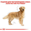 Royal Canin Golden Retriever Adult 12 кг (3970120) - зображення 4