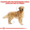 Royal Canin Golden Retriever Adult - зображення 4