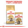 Royal Canin Maine Coon Adult 2 кг (2550020) - зображення 6