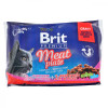 Brit Premium Cat pouch Мясная тарелка в соусе 4x100 г (8595602506262) - зображення 1