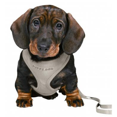 Trixie Шлея  Junior с поводком, для щенков, 2 м, 26-34 см, 10 мм, светло/серый (TX-15560) - зображення 1