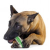 Petstages - игрушка Петстейджес «Хрустящая косточка» для собак 16 см (pt266) - зображення 3