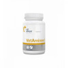 VetExpert VetAminex 60 капсул - зображення 1