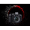 Canon EOS R6 Mark II kit (24-105mm)L IS (5666C029) - зображення 3