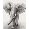 Art&Craft Картина по номерам.  Африканский слон 40х50 см 11629-AC - зображення 1