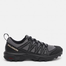   Salomon X BRAZE Pewter/Bk/Fea (2023) 43