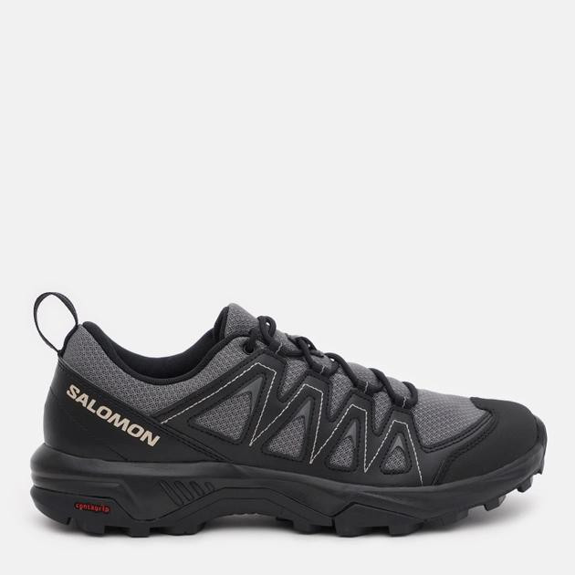 Salomon X BRAZE Pewter/Bk/Fea (2023) 46 - зображення 1