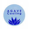 Petitfee Гидрогелевые охлаждающие патчи для глаз  Agave Cooling Hydrogel Eye Mask 60 шт (8809508850429) - зображення 1