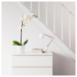 IKEA FEJKA Искусственное растение Орхидея белый (802.859.09)
