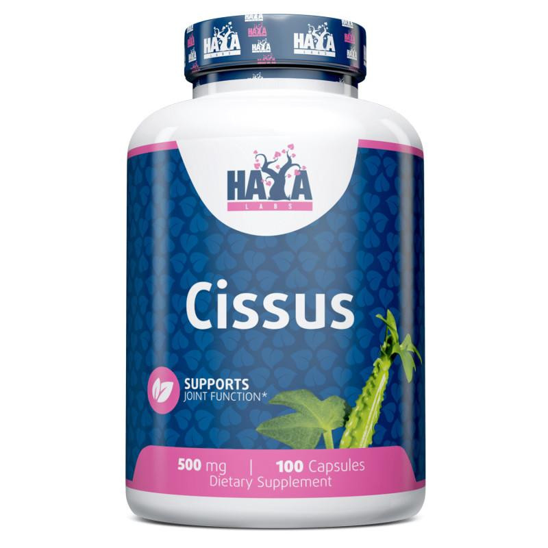 Haya Labs Cissus 500 mg, 100 капсул - зображення 1