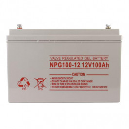 NPG Battery NPG-100-12