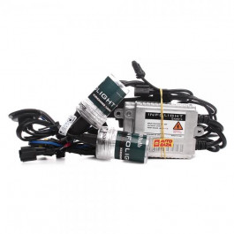   Infolight Expert H7 6000K 35W