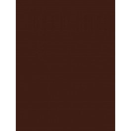RAKO Concept Plus Brown Glossy Waakb009 25*33 Плитка