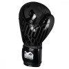 Phantom Athletics Боксерські рукавиці Germany Eagle 10oz Black (PHBG2323-10) - зображення 2