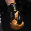 Phantom Athletics Боксерські рукавиці Apex Speed 16oz Gold (PHBG2215-16) - зображення 6