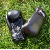 PowerPlay Боксерские перчатки 3004 16oz Black (PP_3004_16oz_Black) - зображення 9