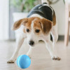 Cheerble Мячик для собак и кошек Wickedball C1801 Blue - зображення 6