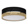 TK Lighting Стельовий світильник  6548 PAGLIA BLACK - зображення 1