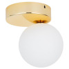 TK Lighting Стельовий світильник  BIANCA GOLD 4695 - зображення 1