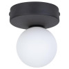 TK Lighting Стельовий світильник  BIANCA 5681 - зображення 1