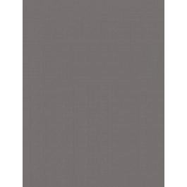 RAKO Concept Plus Dark Grey Glossy Waakb011 25*33 Плитка