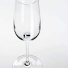 IKEA Набор бокалов для шампанского STORSINT (ИКЕА СТОРСИНТ) 20396316 (203.963.16) - зображення 2