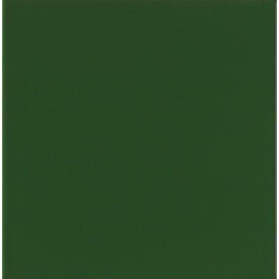 Mainzu плитка Chroma Brillo 20x20 verde - зображення 1