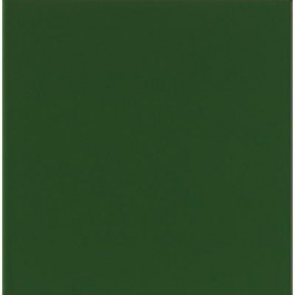 Mainzu плитка Chroma Brillo 20x20 verde