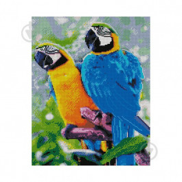 STRATEG Алмазная мозаика  «Яркие попугаи», 40х50 см FA12292
