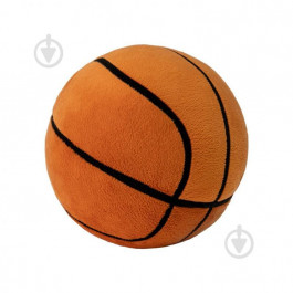 WP Merchandise Баскетбольний м'яч 23 см (FWPBSBALL22OR000M)