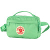 Fjallraven Поясна сумка  Kanken Hip Pack 2л Apple Mint (23796.663) - зображення 1