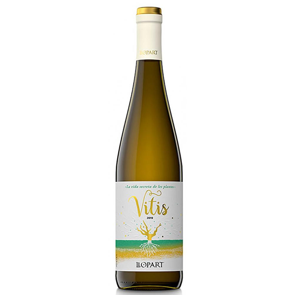 Llopart Вино Pere  Vitis 0,75 л сухе тихе біле (8425907087688) - зображення 1