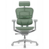 Comfort Seating Ergohuman Elite 2 Green - зображення 1